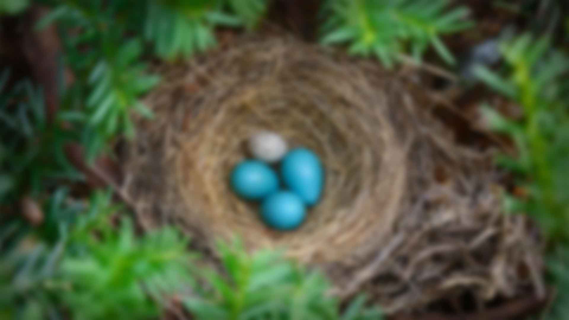 健身：拥抱健康与活力的生活方式